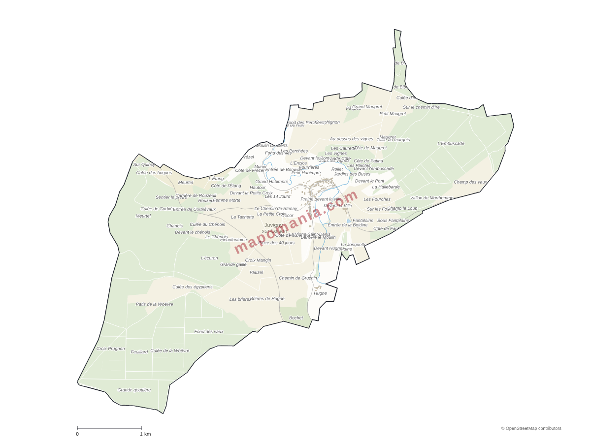 Carte de Juvigny-sur-Loison à personnaliser