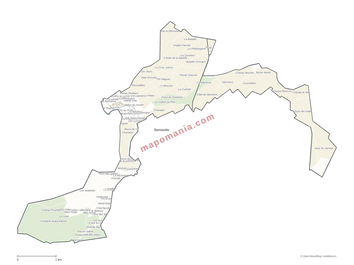 Carte de Remoiville à personnaliser