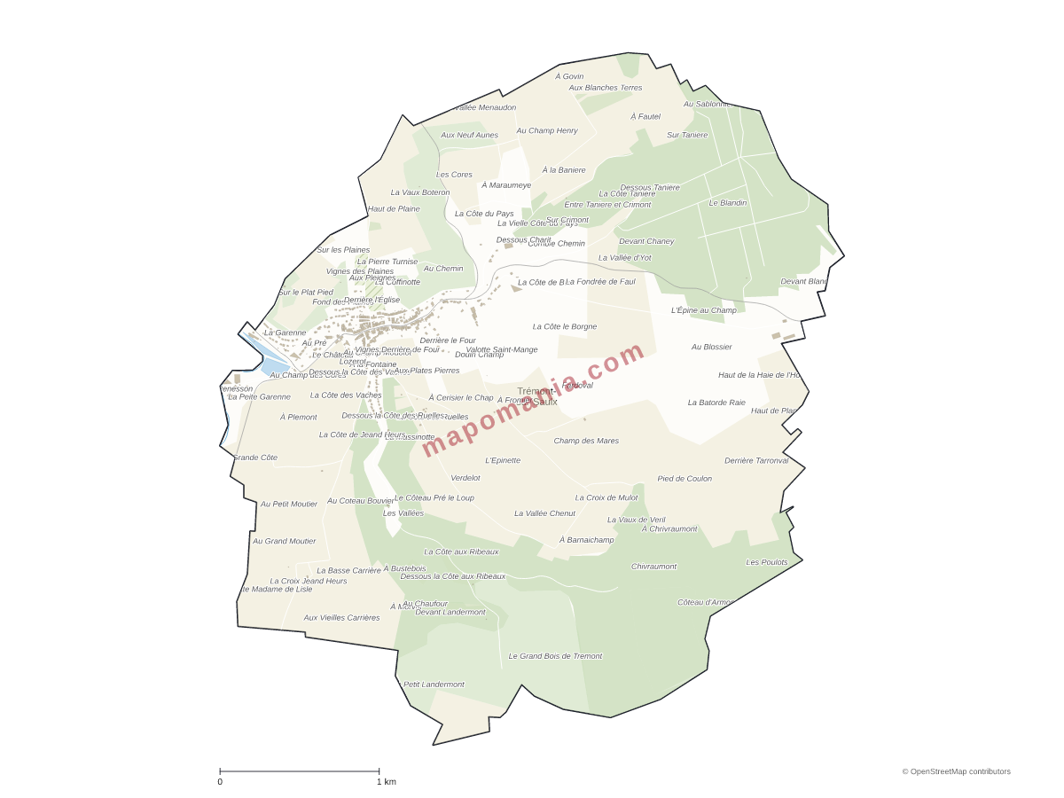 Carte de Trémont-sur-Saulx à personnaliser