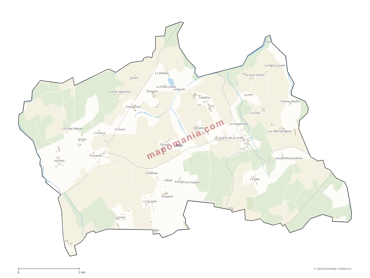 Carte de Billio à personnaliser