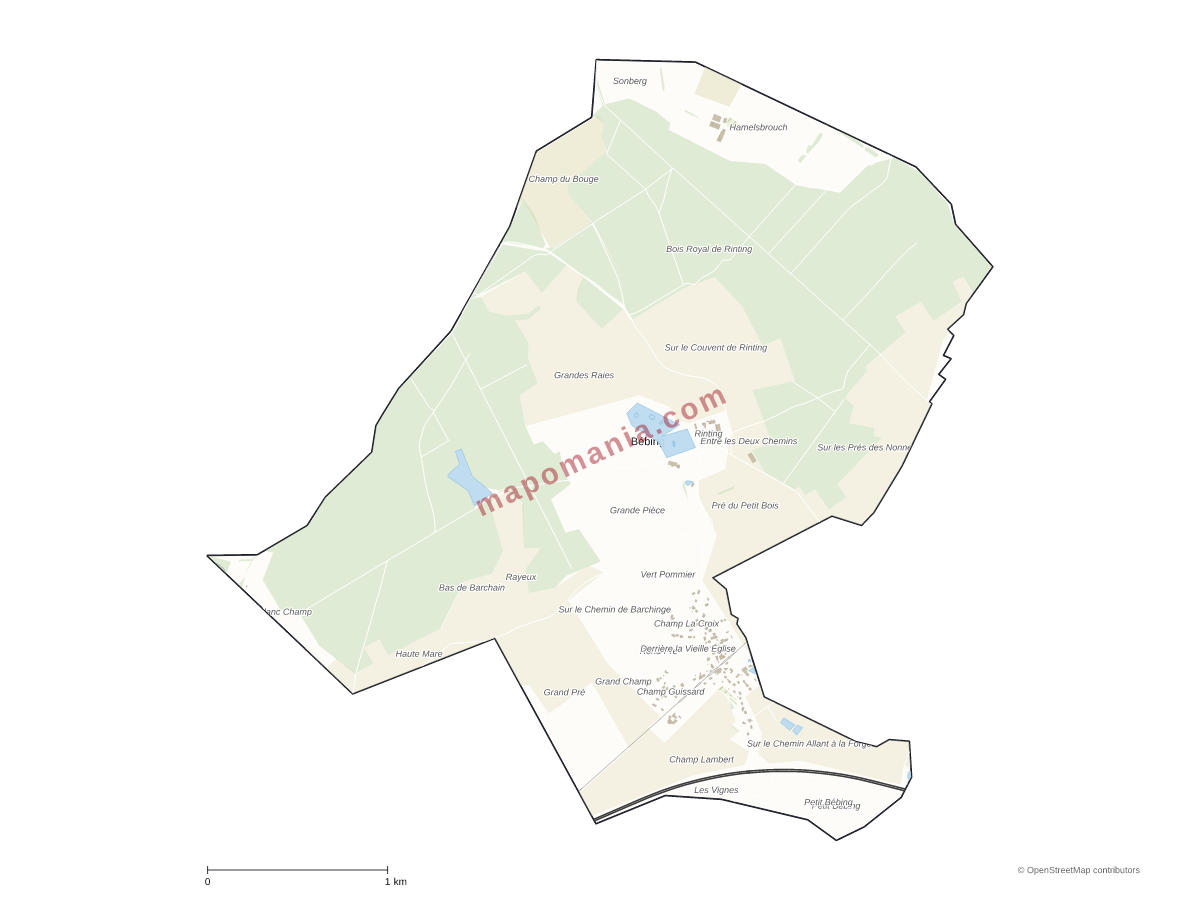 Carte de Bébing à personnaliser