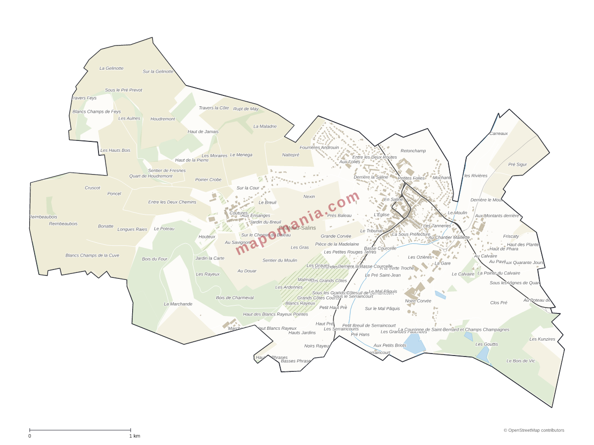 Carte de Château-Salins à personnaliser