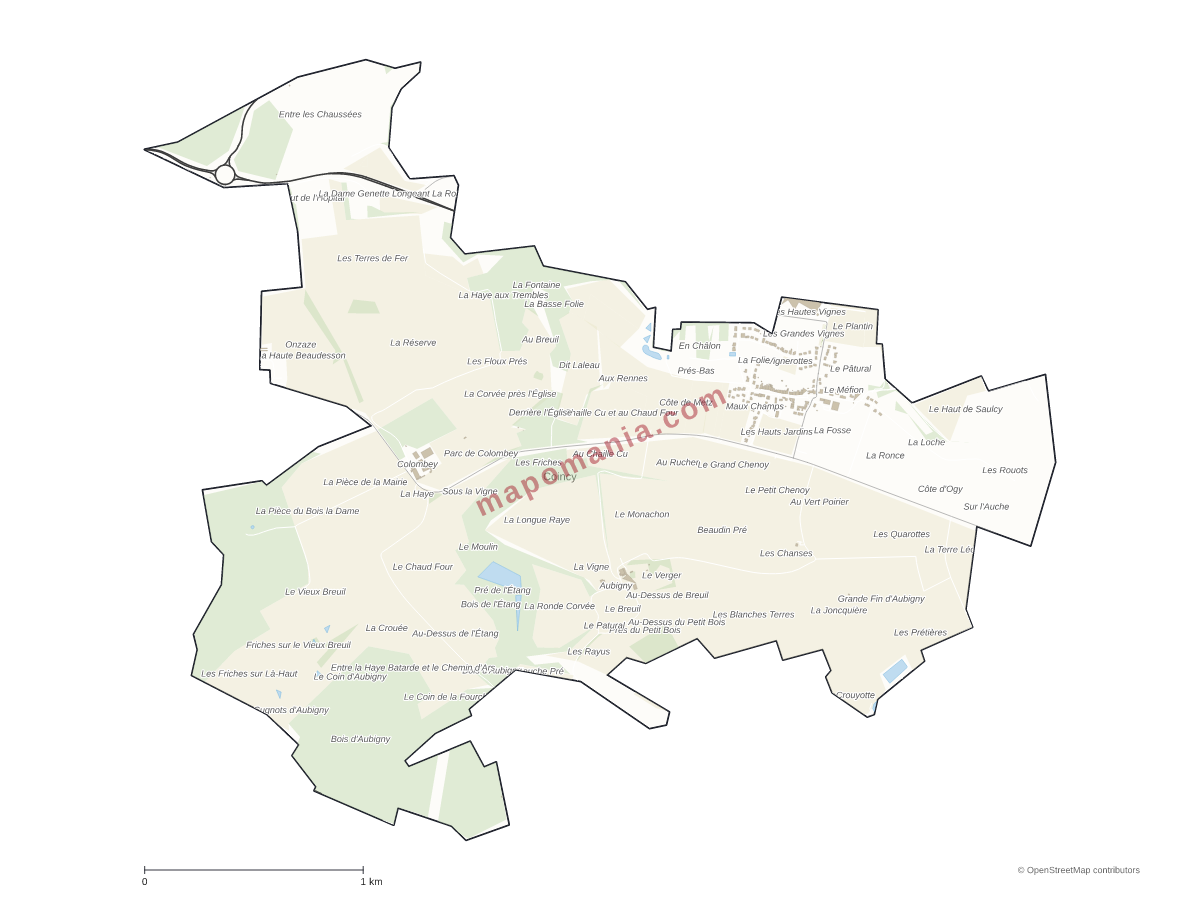 Carte de Coincy à personnaliser
