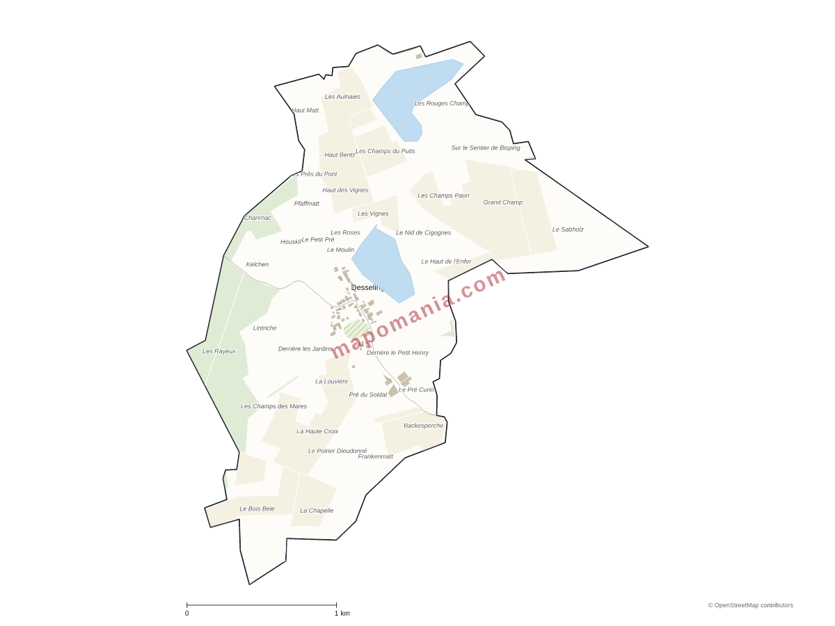 Carte de Desseling à personnaliser