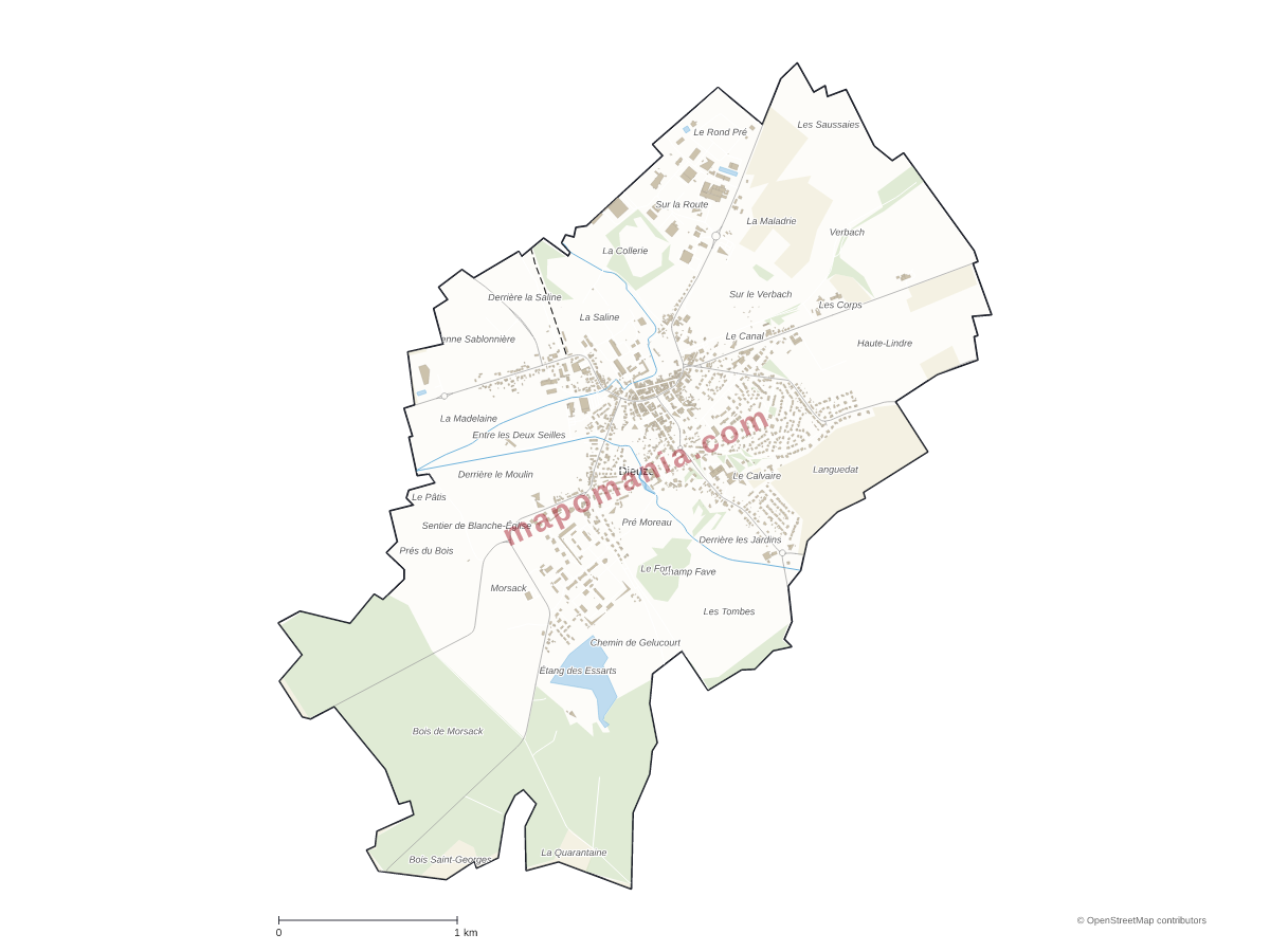 Carte de Dieuze à personnaliser