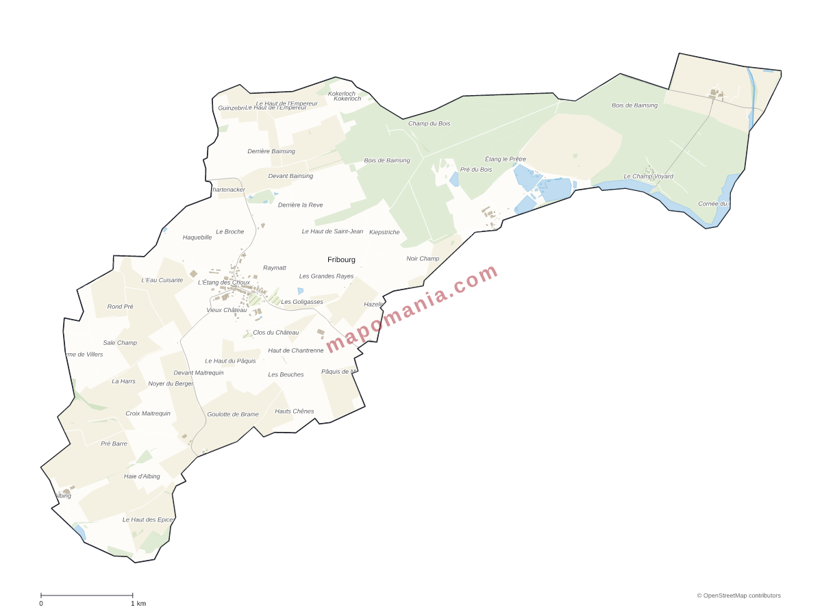 Carte de Fribourg à personnaliser
