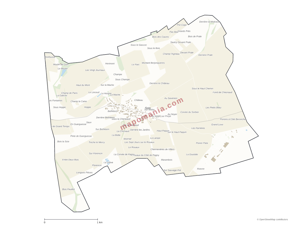 Carte de Goin à personnaliser