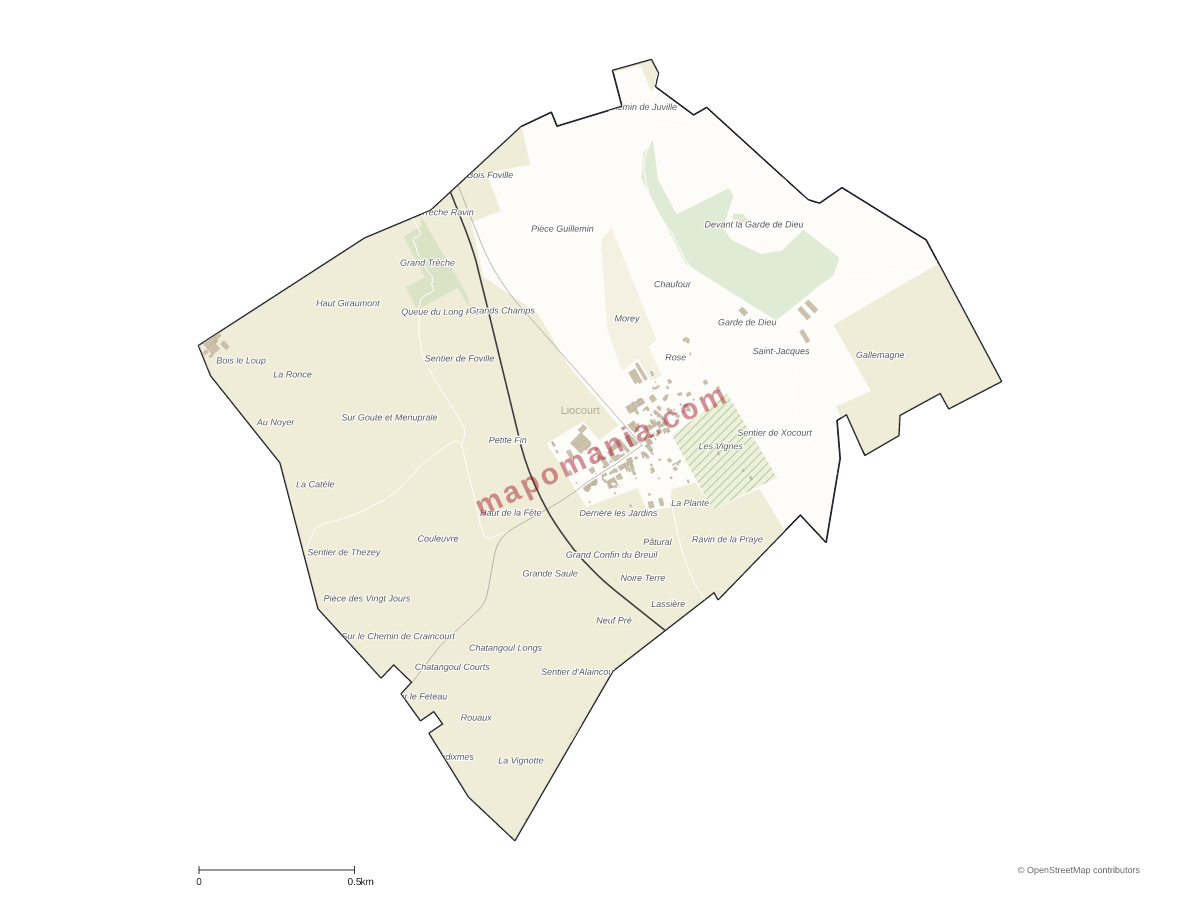 Carte de Liocourt à personnaliser