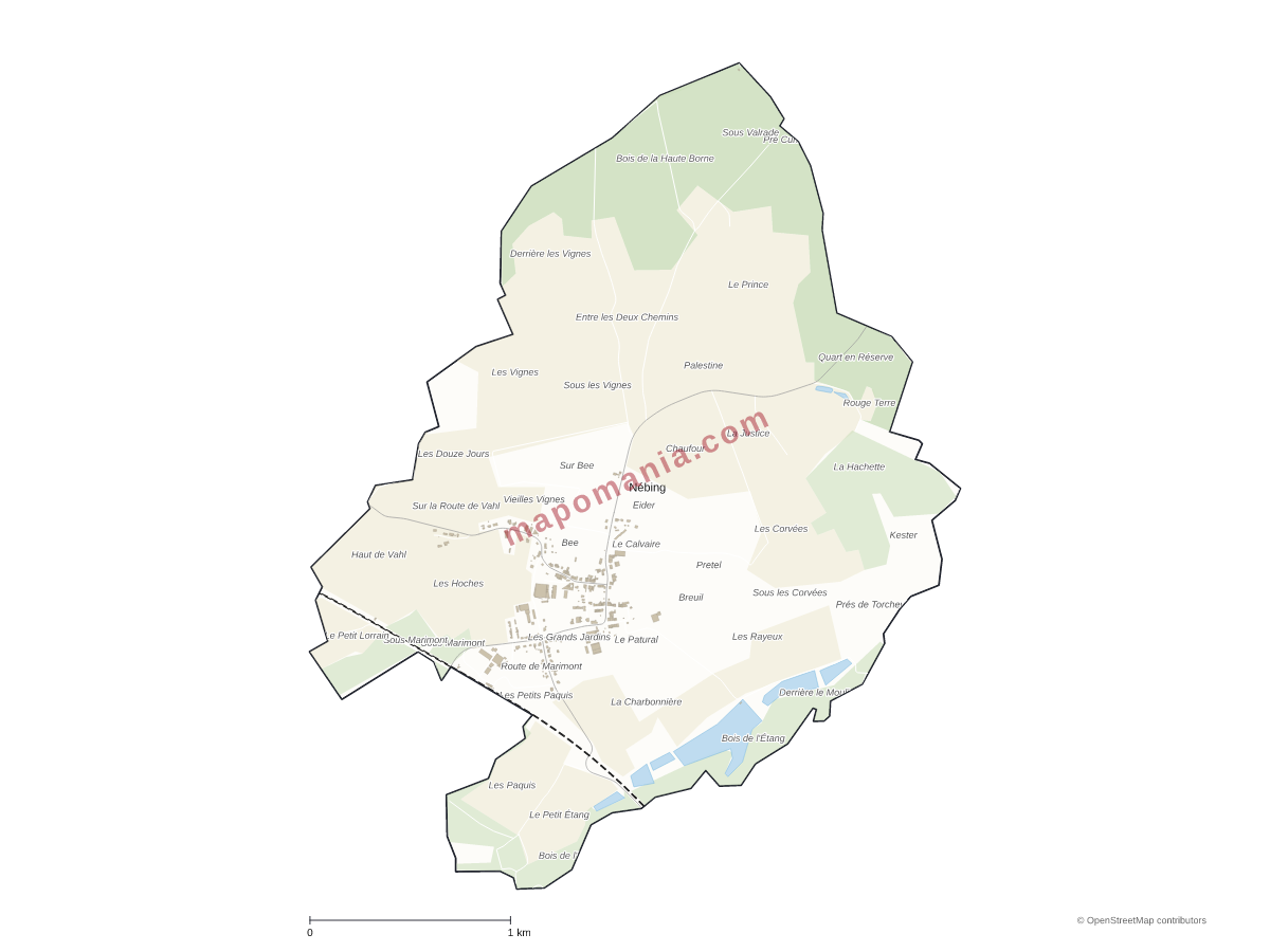 Carte de Nébing à personnaliser