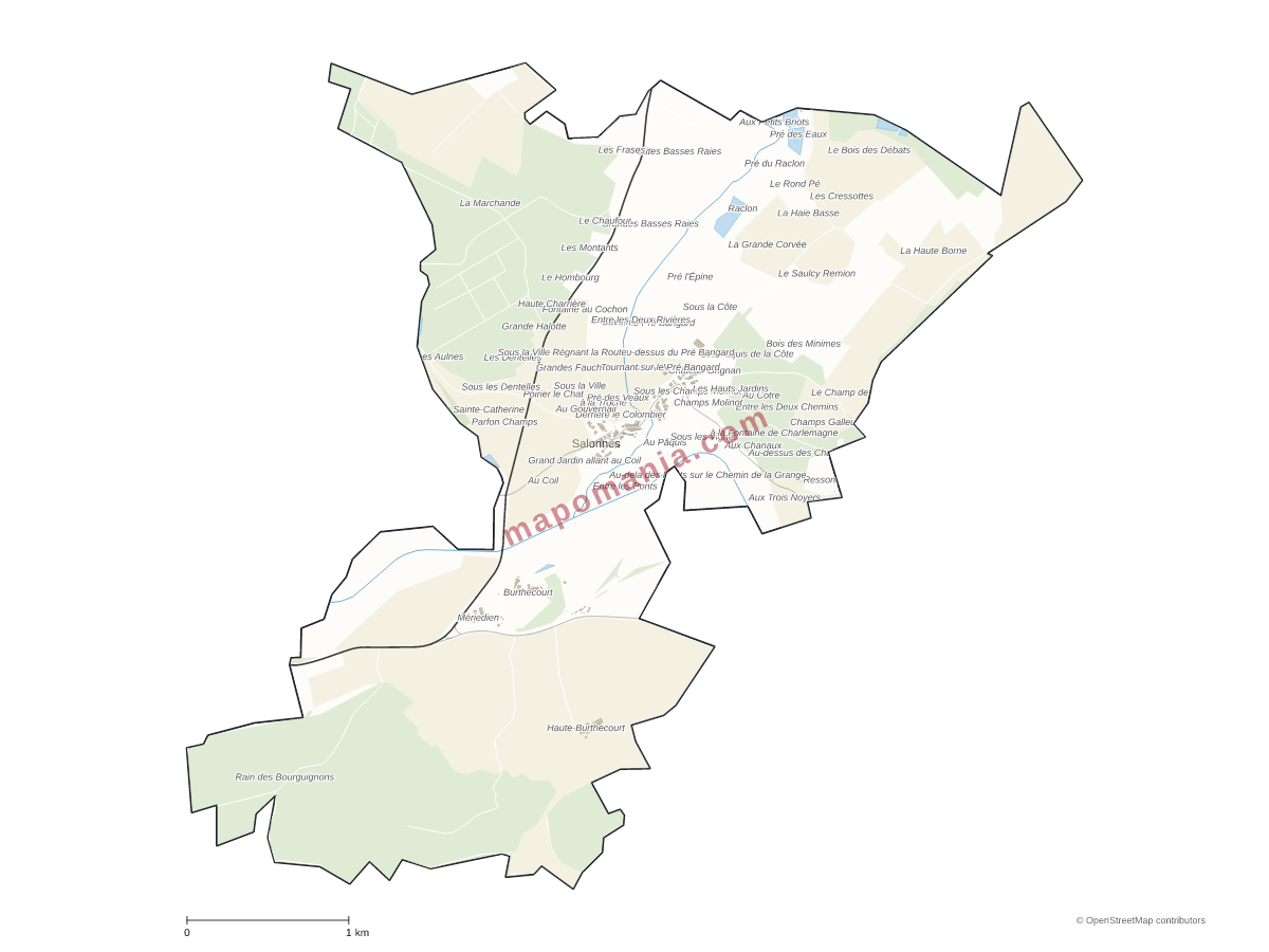 Carte de Salonnes à personnaliser