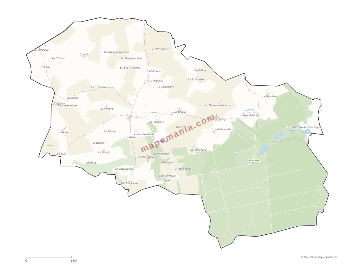 Carte de Feings à personnaliser