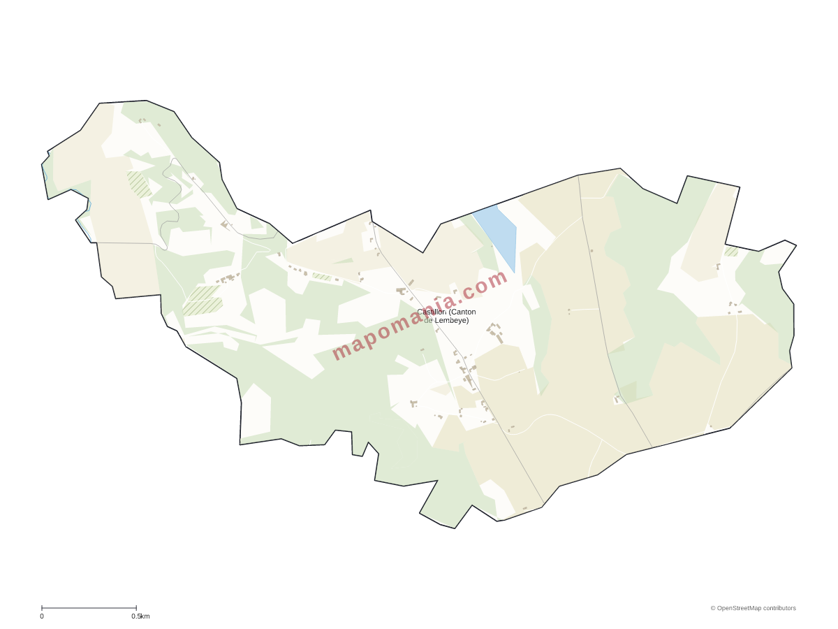 Carte de Castillon (Canton de Lembeye) à personnaliser