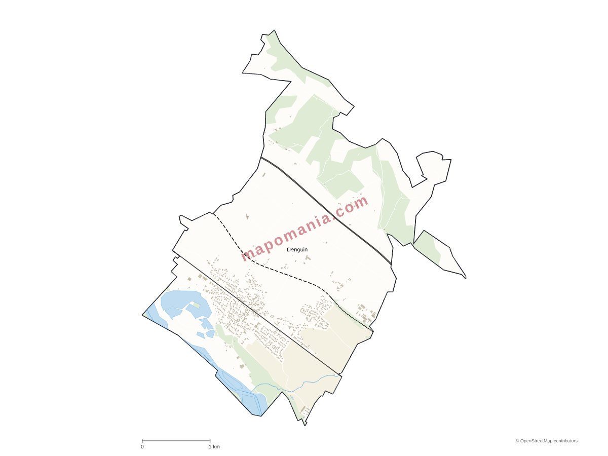 Carte de Denguin à personnaliser