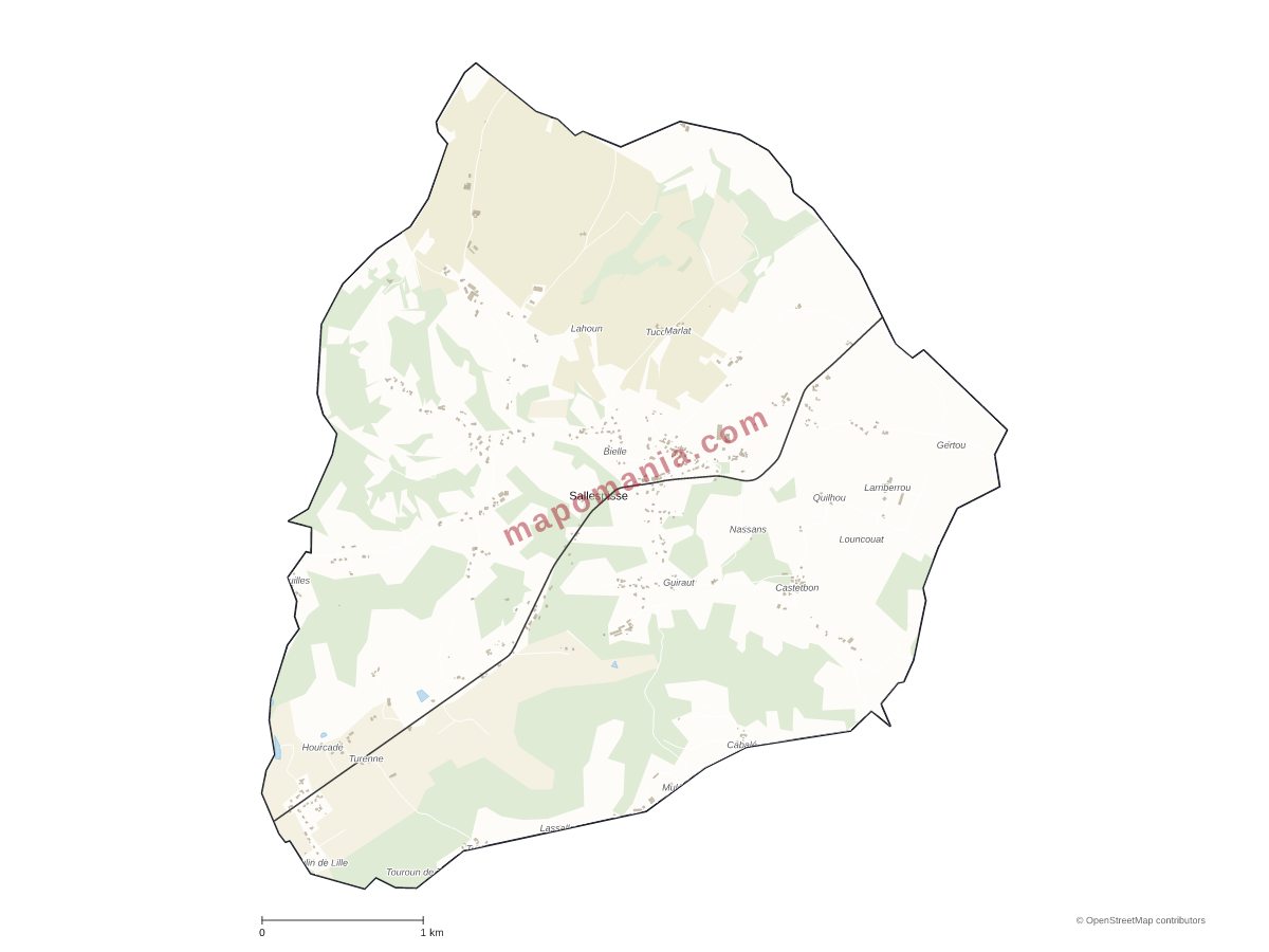 Carte de Sallespisse à personnaliser