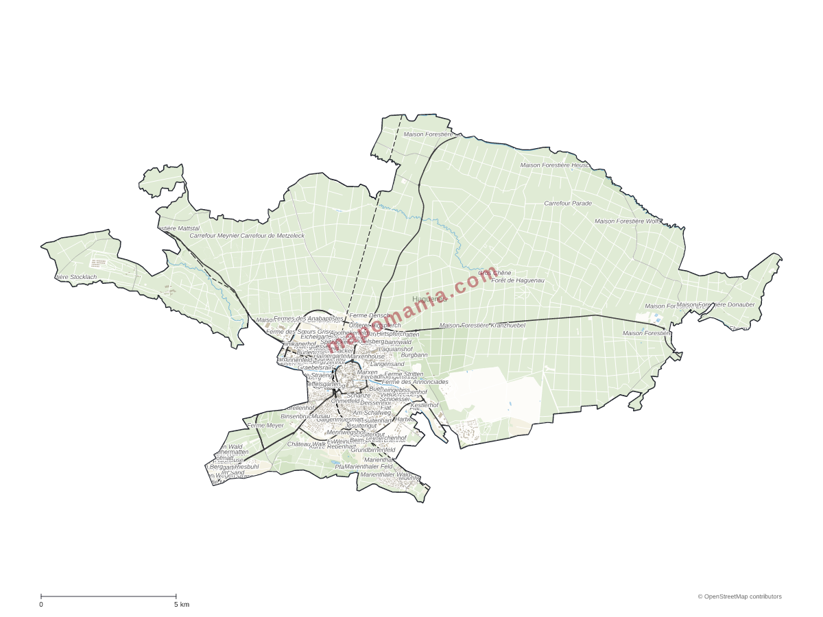 Carte de Haguenau à personnaliser