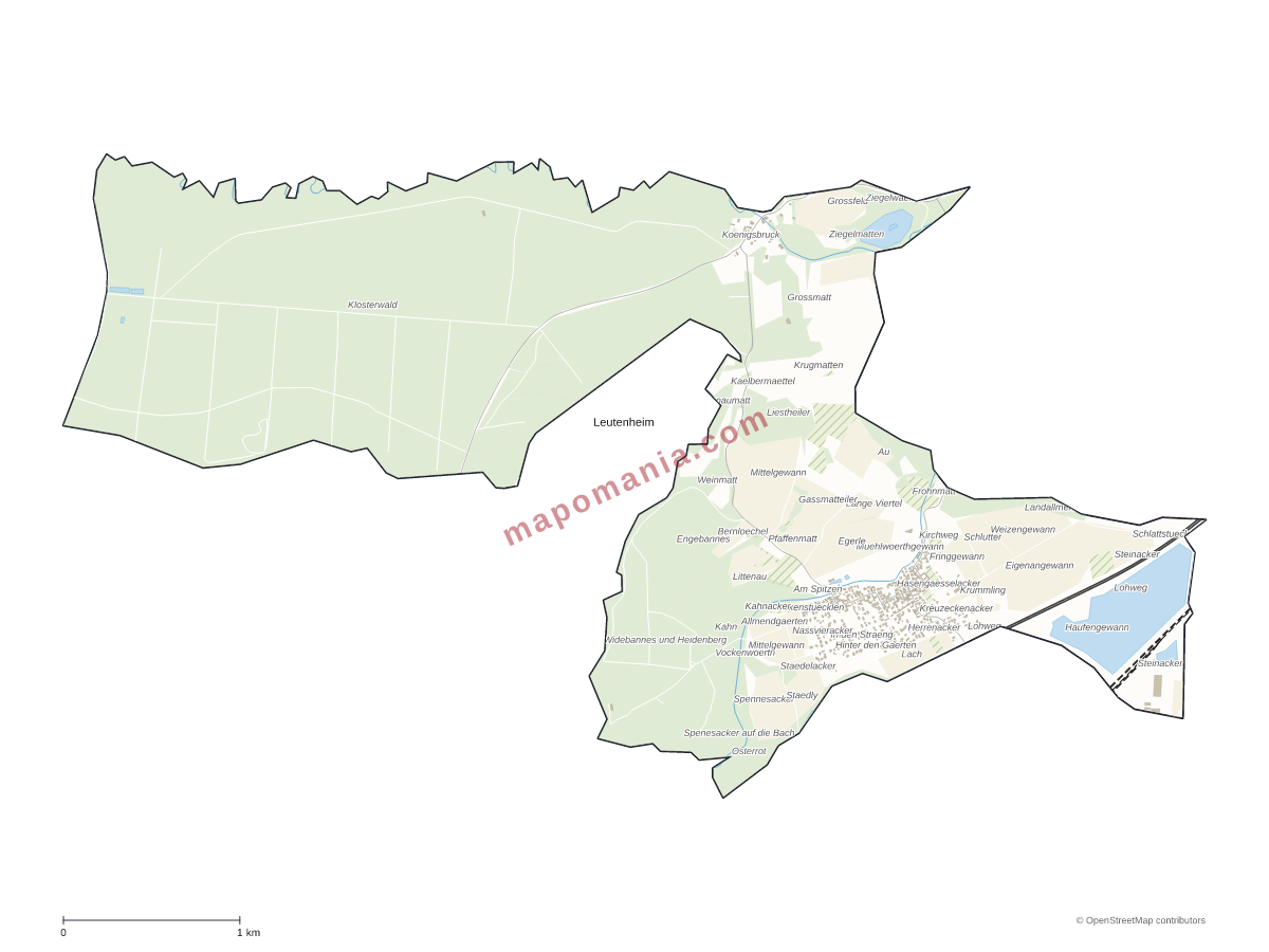 Carte de Leutenheim à personnaliser