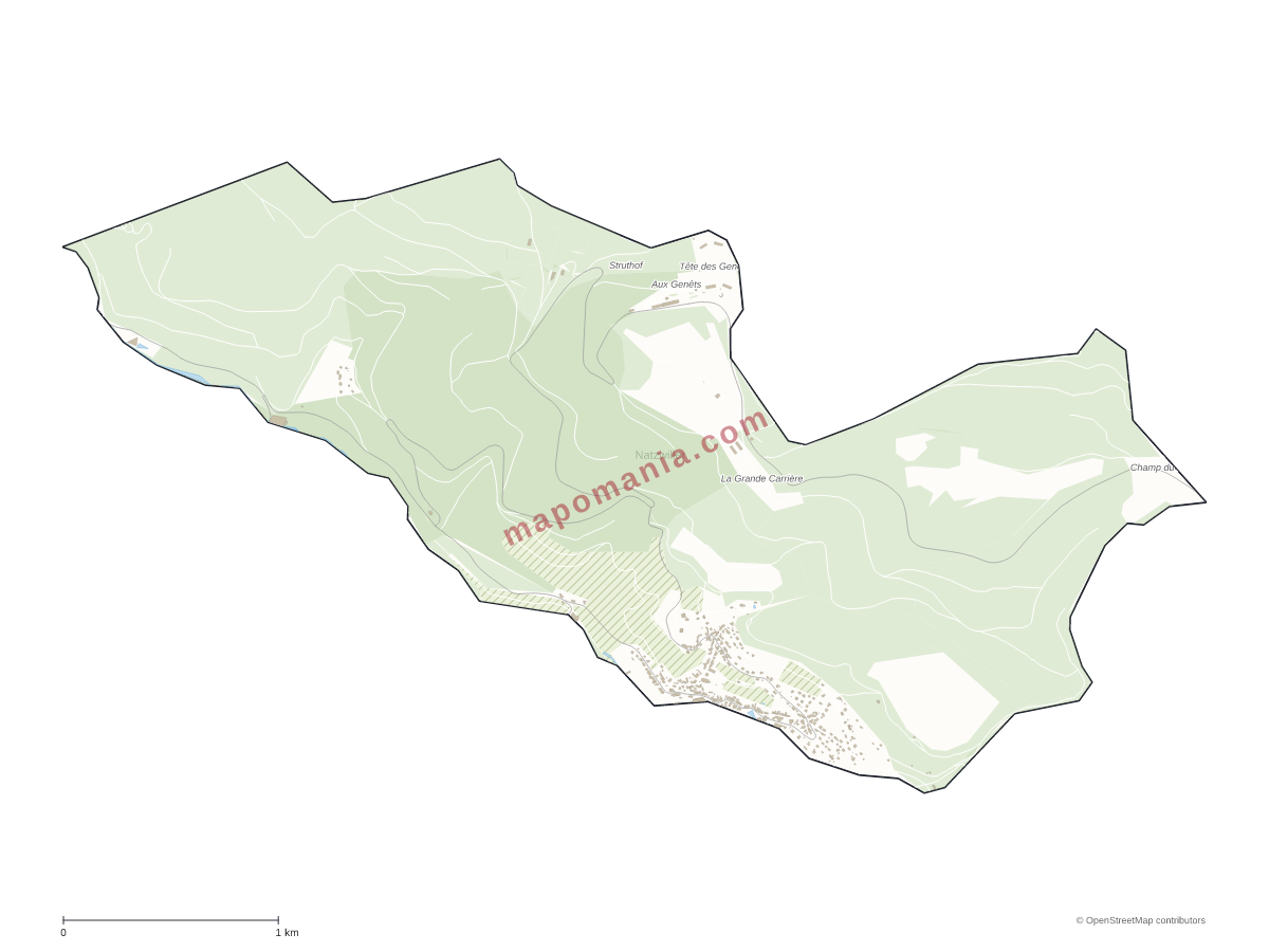 Carte de Natzwiller à personnaliser