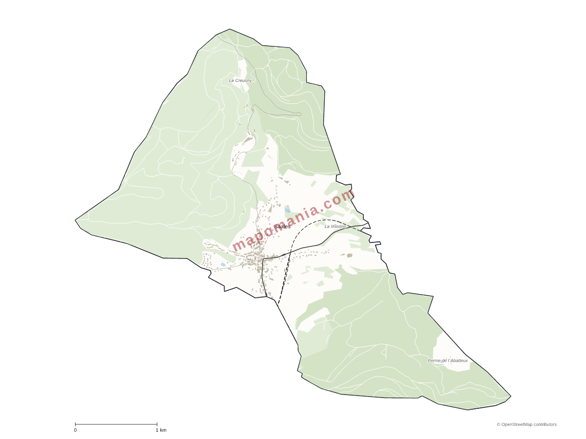 Carte de Saales à personnaliser
