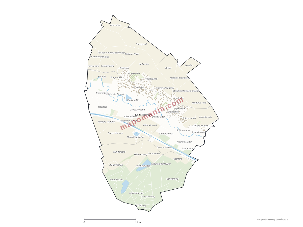 Carte de Saint-Bernard à personnaliser