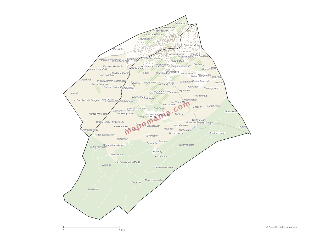 Carte de Folgensbourg à personnaliser