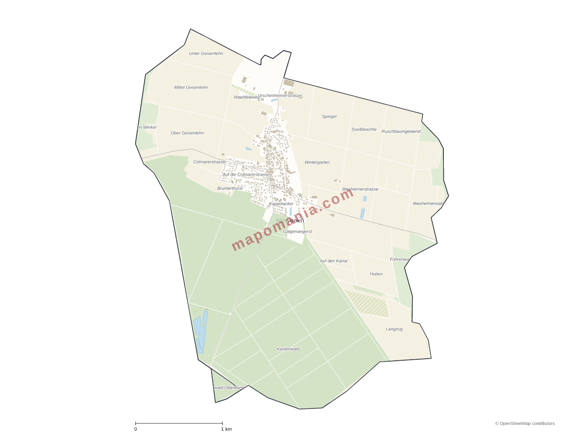Carte de Widensolen à personnaliser