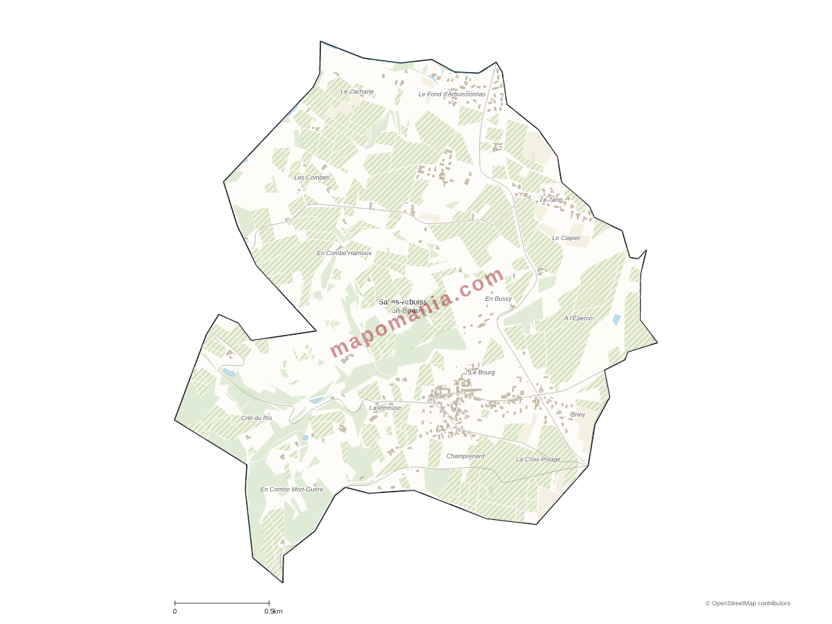 Carte de Salles-Arbuissonnas-en-Beaujolais à personnaliser
