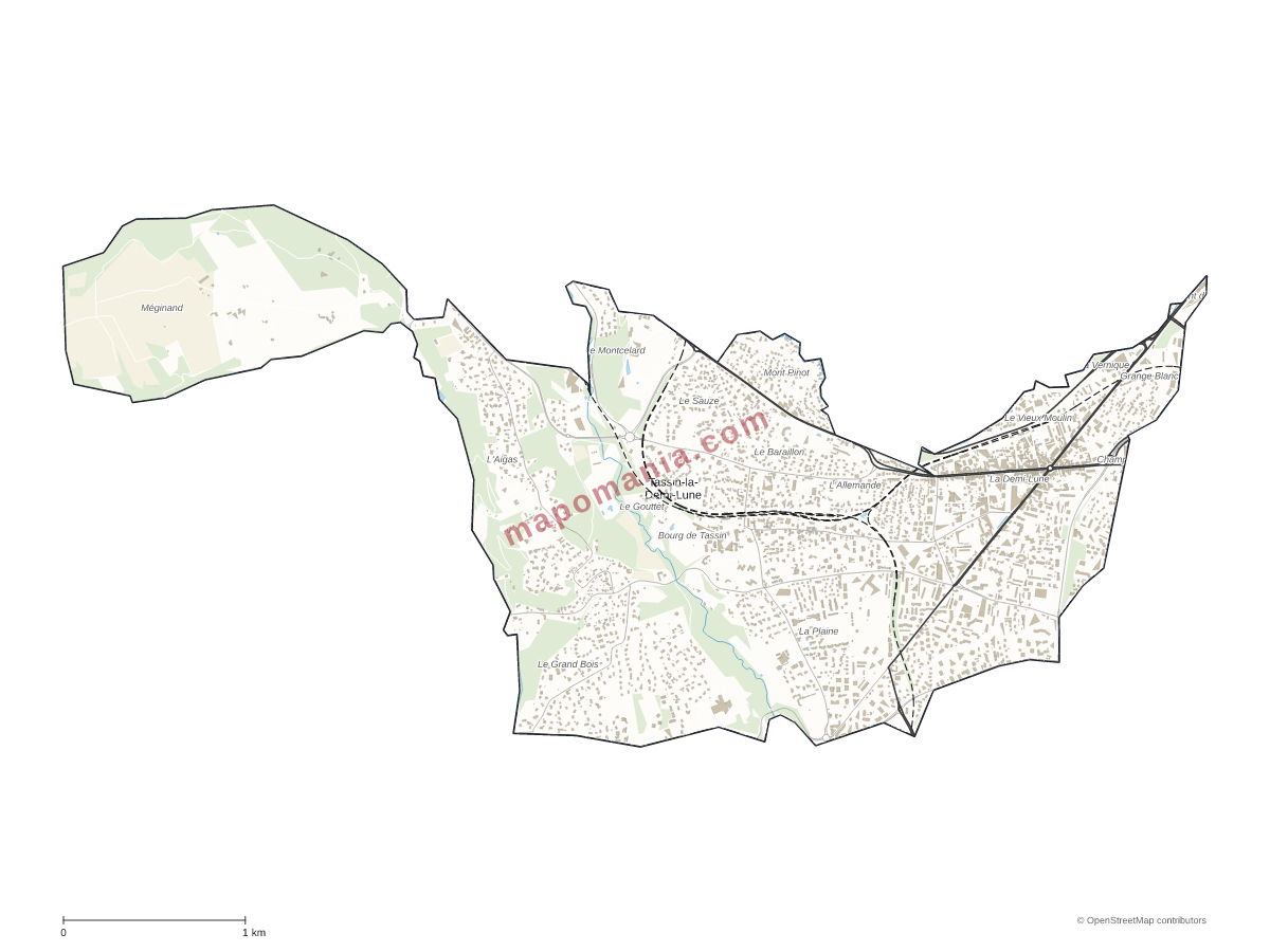 Carte de Tassin-la-Demi-Lune à personnaliser