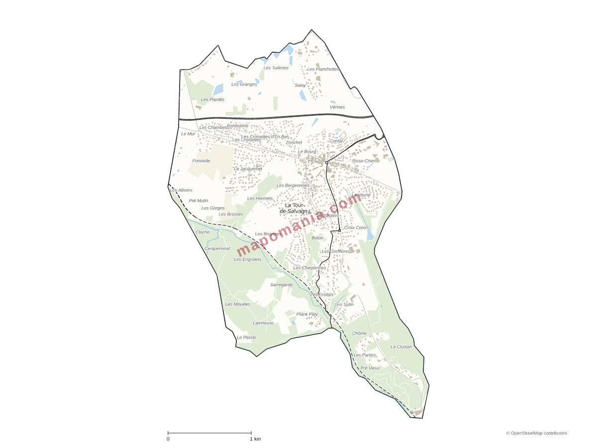 Carte de La Tour-de-Salvagny à personnaliser