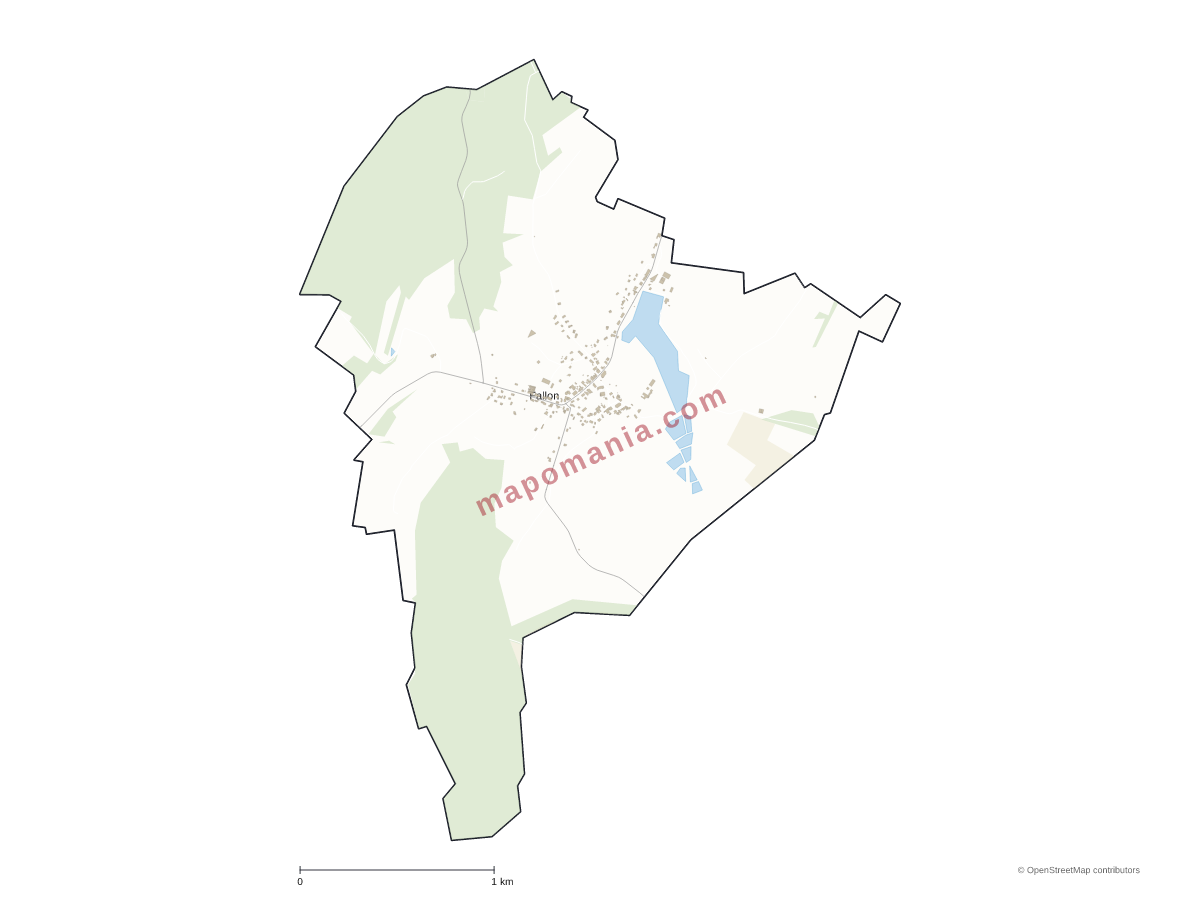 Carte de Fallon à personnaliser