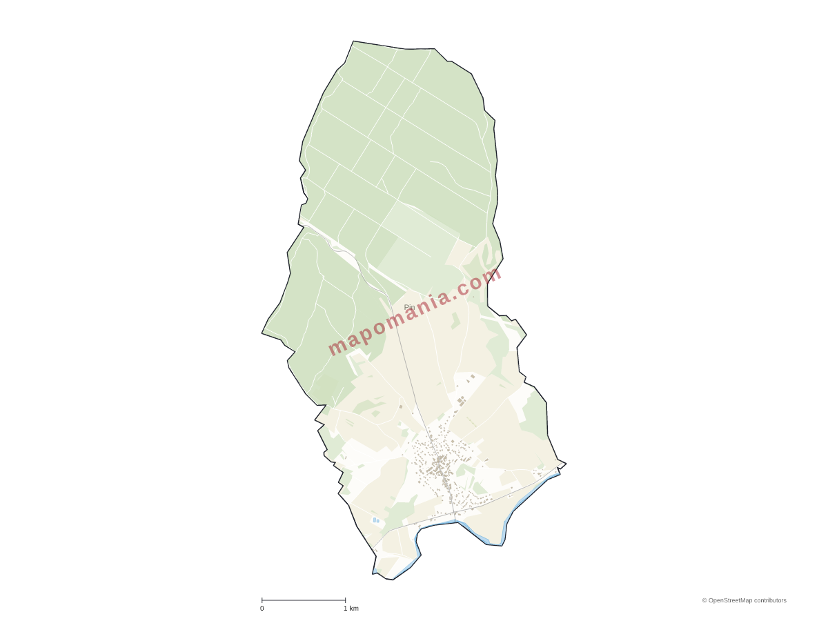 Carte de Pin à personnaliser