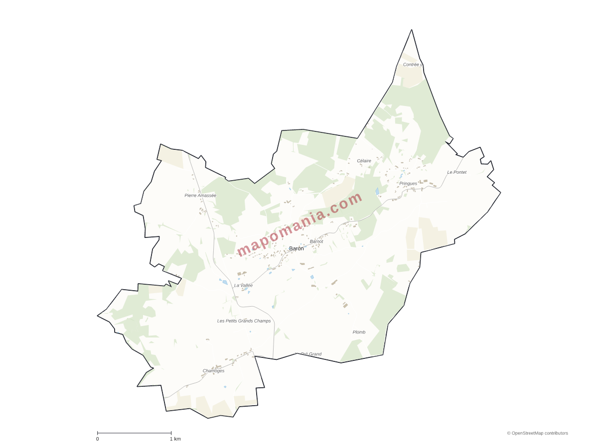Carte de Baron à personnaliser