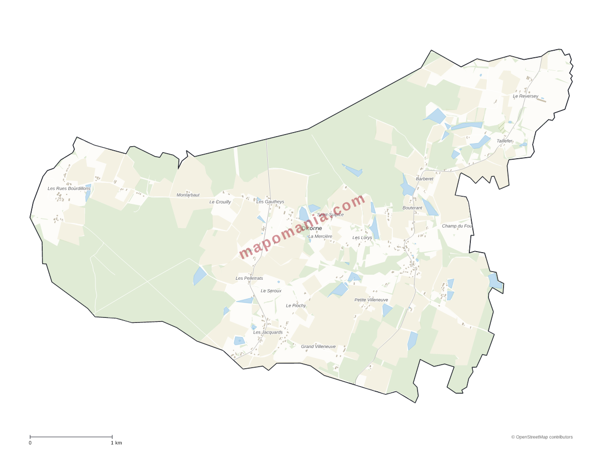 Carte de Diconne à personnaliser