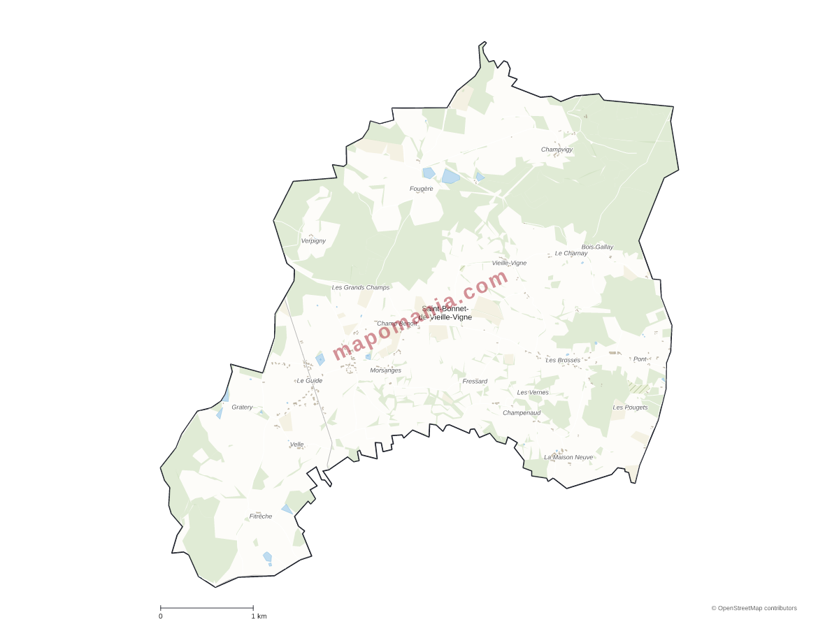 Carte de Saint-Bonnet-de-Vieille-Vigne à personnaliser