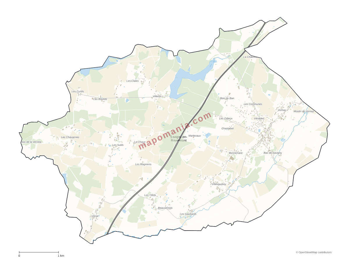 Carte de Savigny-en-Revermont à personnaliser