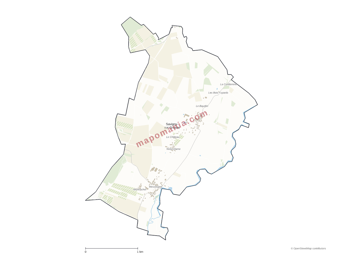 Carte de Savigny-sur-Grosne à personnaliser