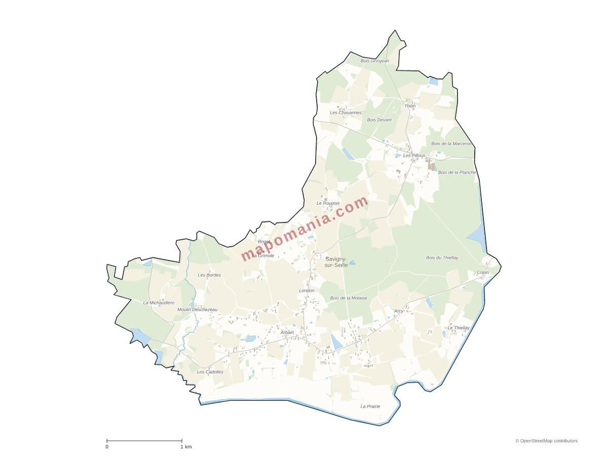 Carte de Savigny-sur-Seille à personnaliser