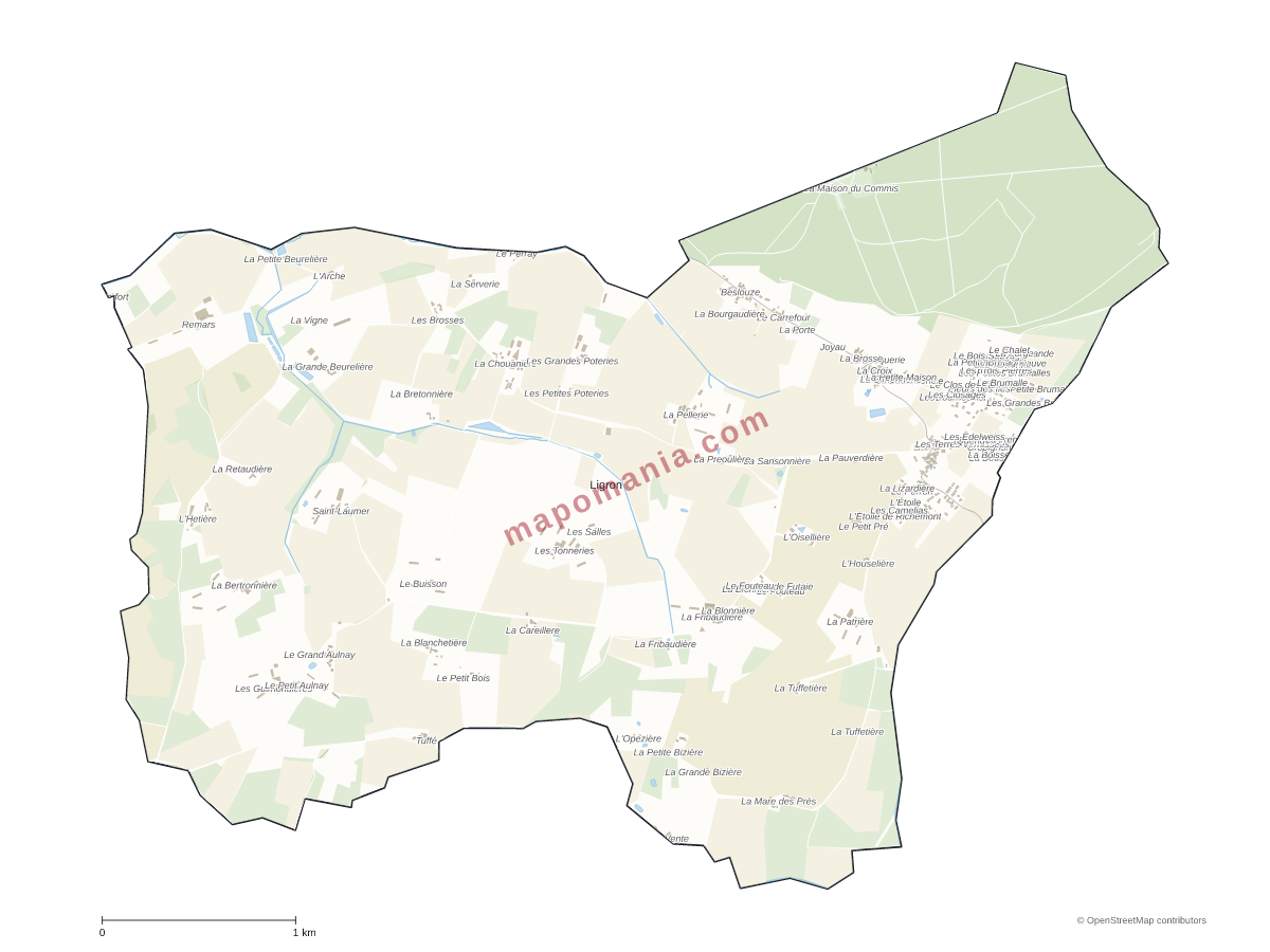 Carte de Ligron à personnaliser