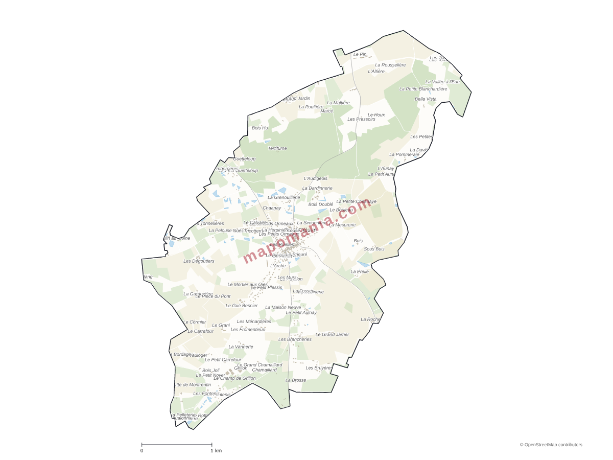 Carte de Saint-Célerin à personnaliser