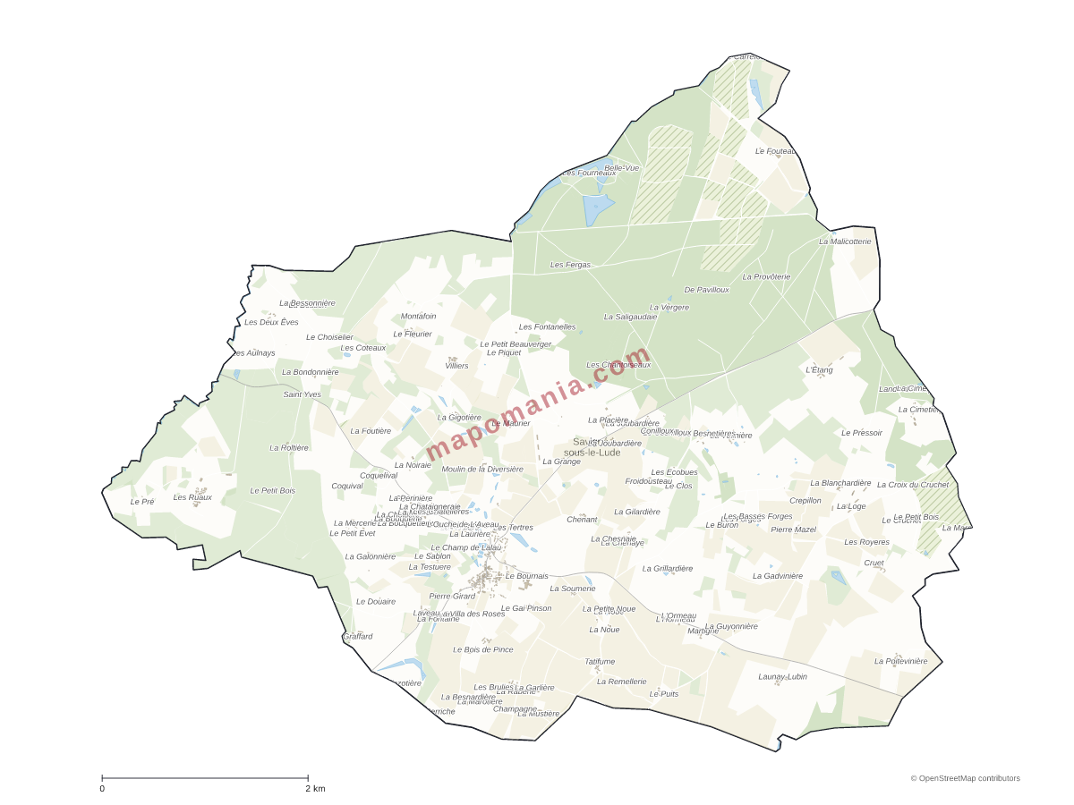 Carte de Savigné-sous-le-Lude à personnaliser