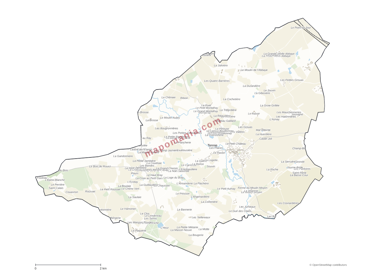 Carte de Tennie à personnaliser