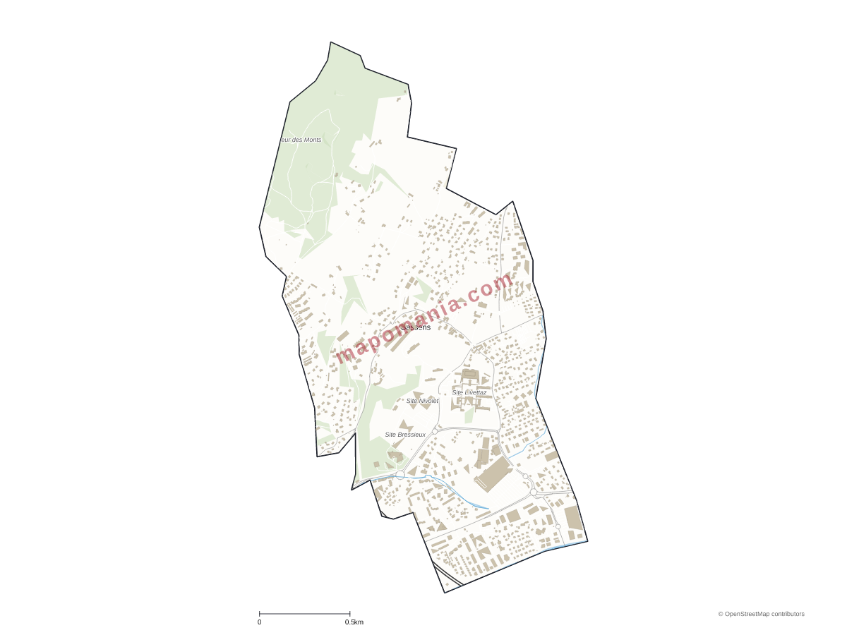 Carte de Bassens à personnaliser