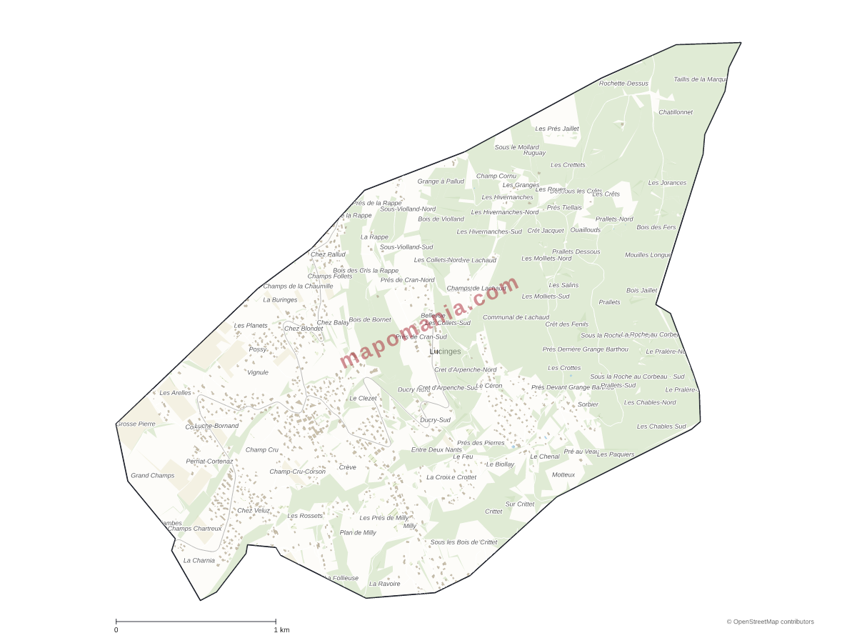 Carte de Lucinges à personnaliser