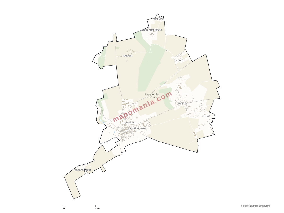 Carte de Bacqueville-en-Caux à personnaliser