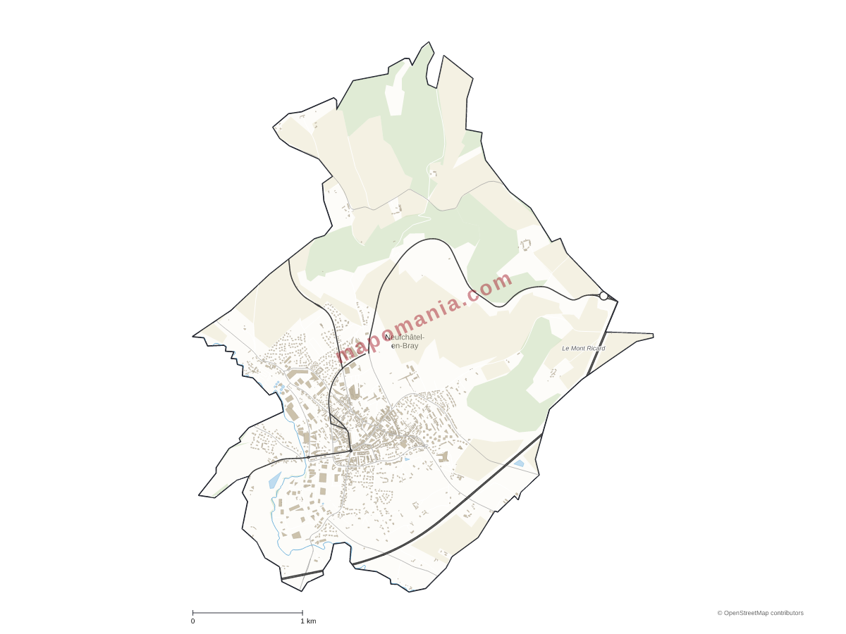 Carte de Neufchâtel-en-Bray à personnaliser