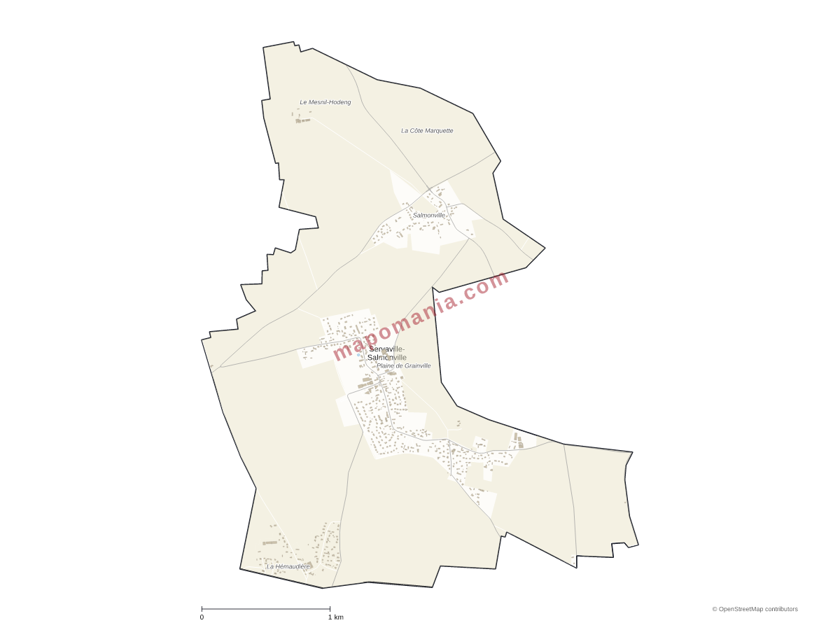 Carte de Servaville-Salmonville à personnaliser