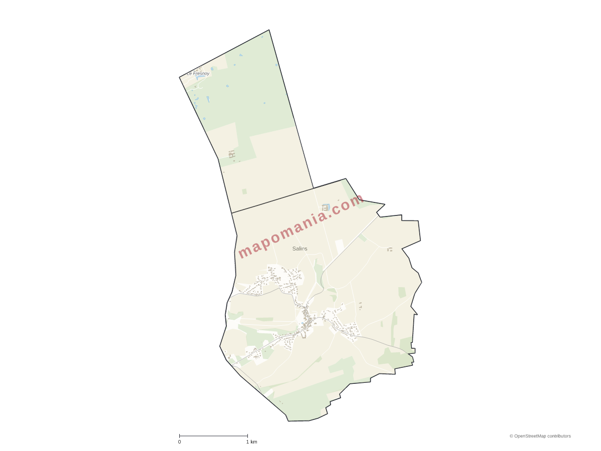 Carte de Salins à personnaliser