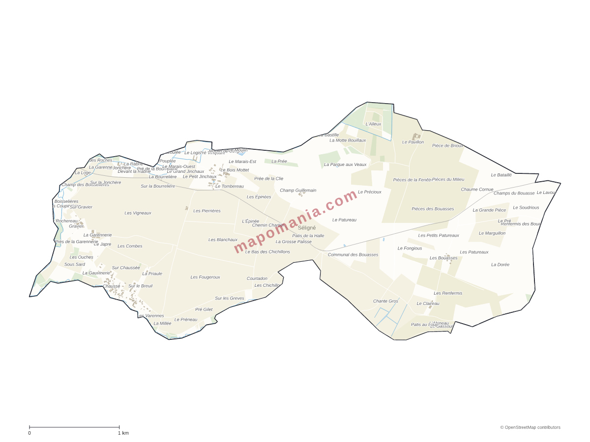 Carte de Séligné à personnaliser