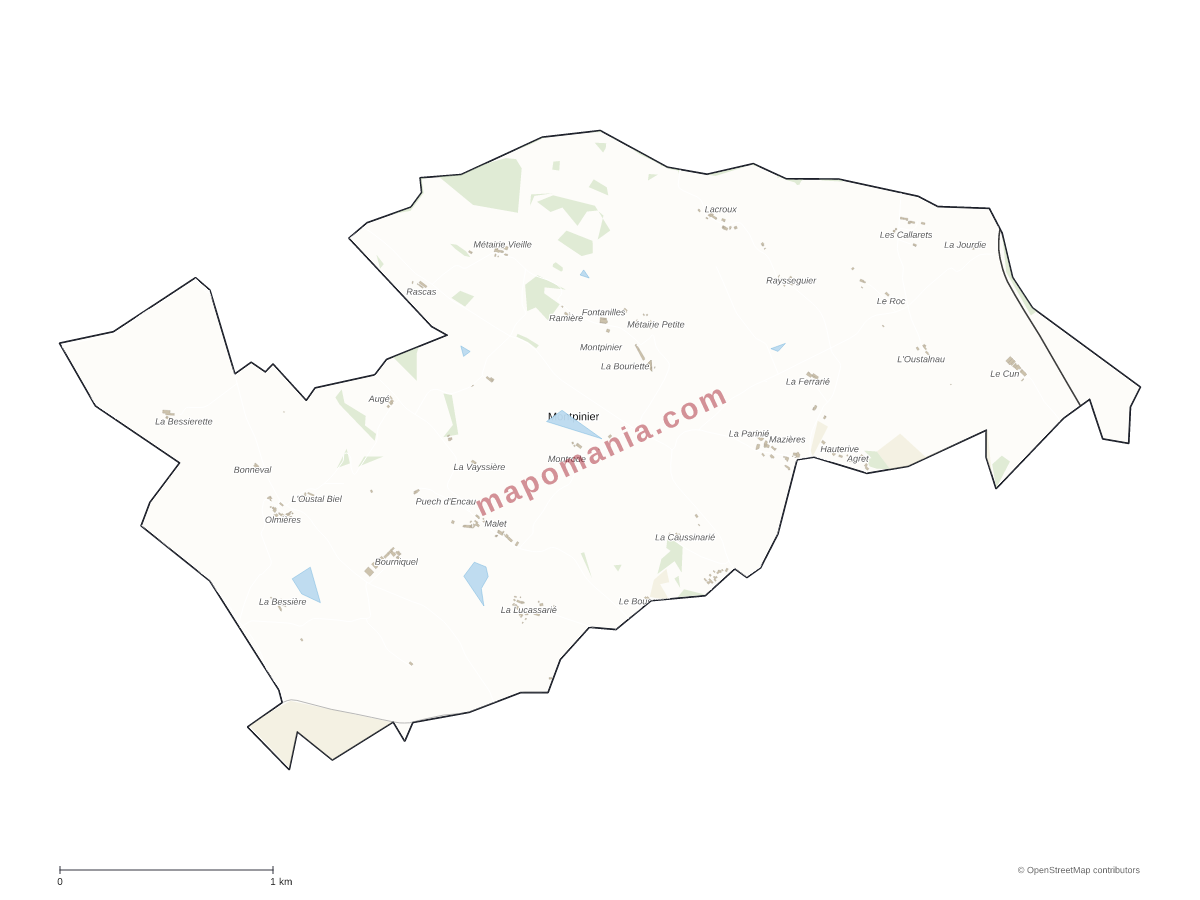 Carte de Montpinier à personnaliser