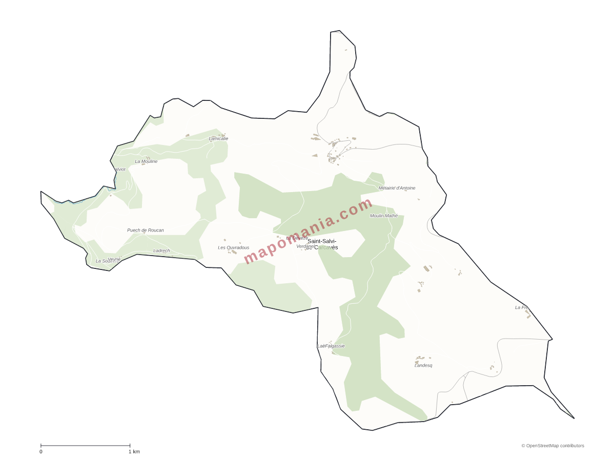 Carte de Saint-Salvi-de-Carcavès à personnaliser