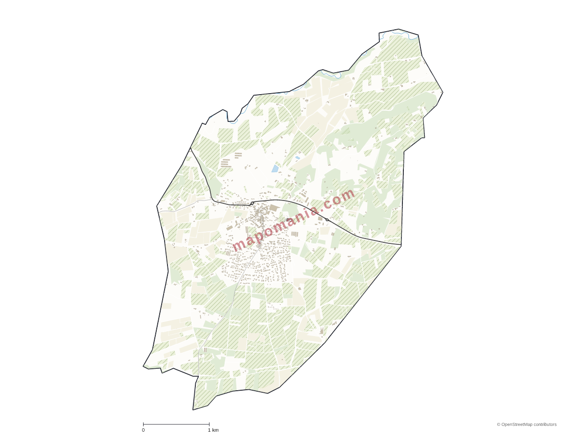 Carte de Grillon à personnaliser